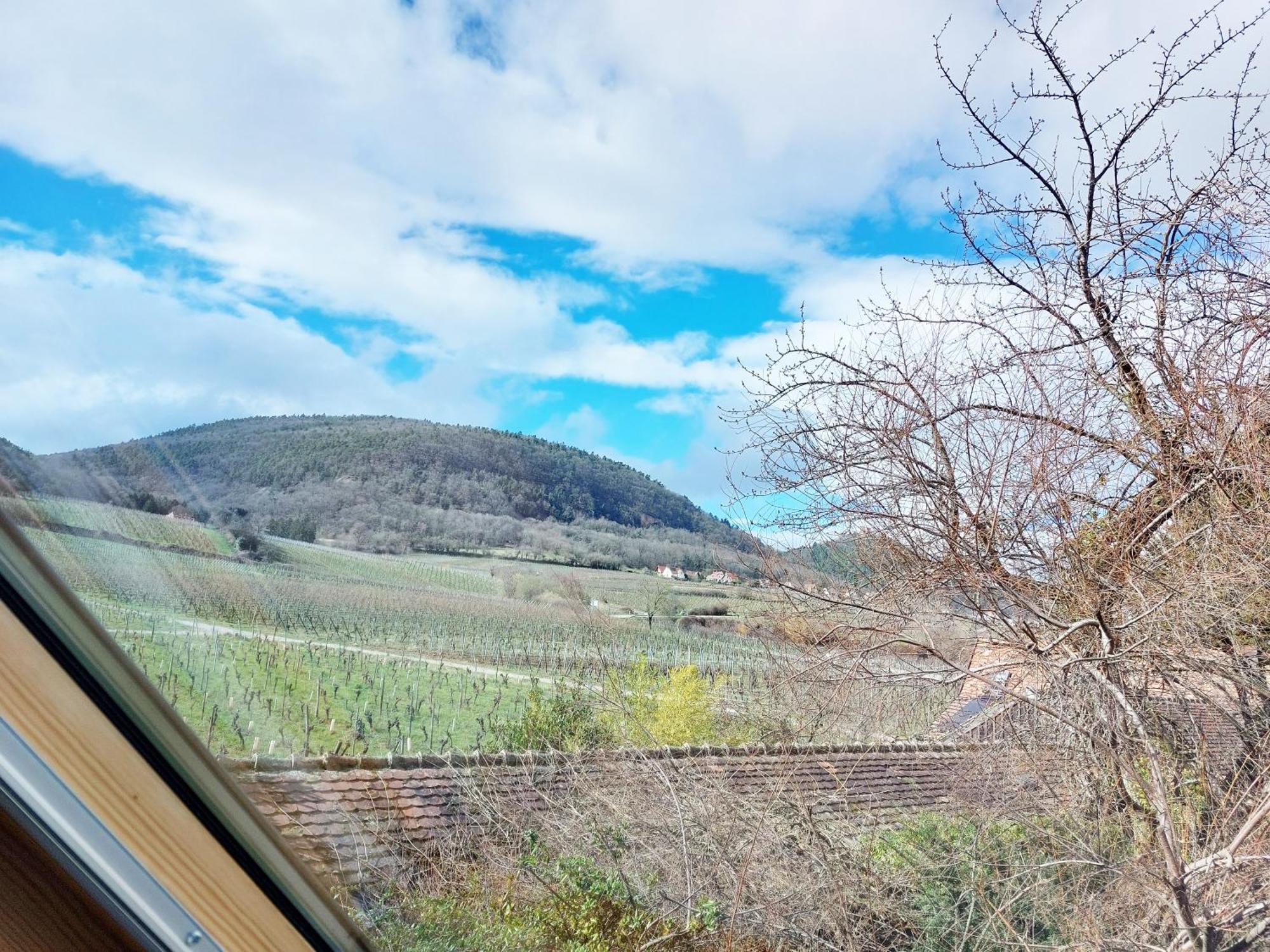 Les Gites De Georgia Voegtlinshoffen Camera foto